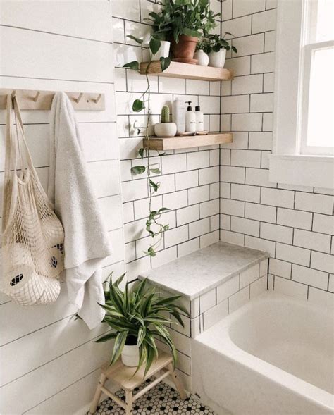 浴室放植物